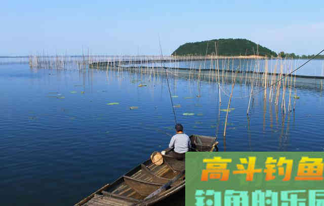 水情、鱼情不适合钓鱼该怎么办