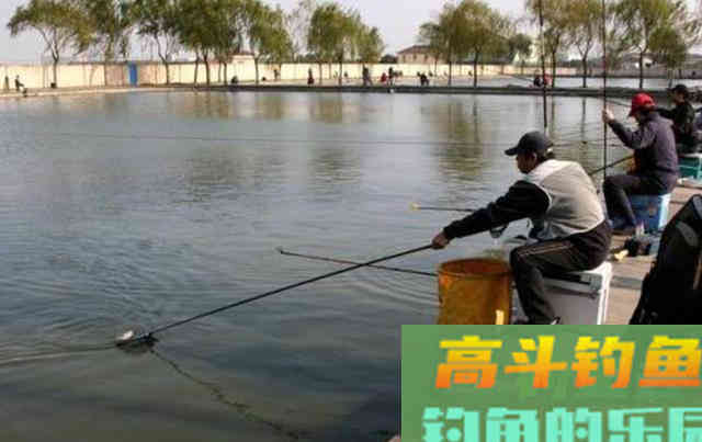 到一处水域钓鱼，子线长度要怎么选