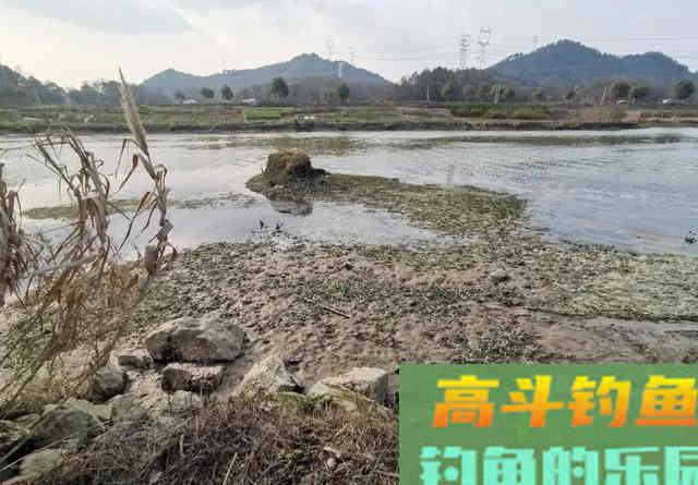一遇退水就不钓鱼了？告诉你一些实用的建议