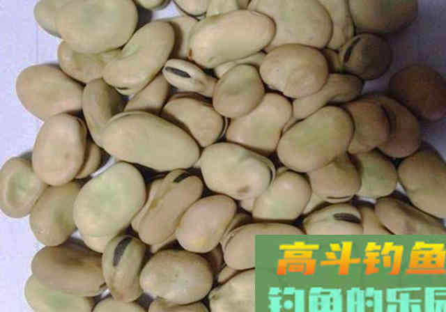 钓友醉酒分享自用窝料配方，看完此文窝料不用买了