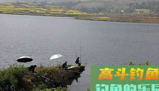 同样都是钓鱼，为何专业钓鱼人，不如三农钓鱼人渔获多
