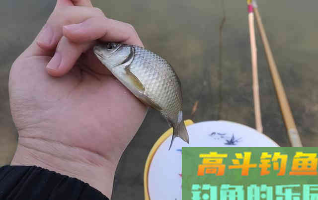 请注意一下你的双手，他也会污染饵料