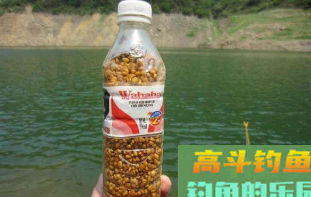这是制作小麦窝料最简单的方法！成本才1块钱