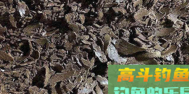 菜籽饼不脱毒打窝不能用吗