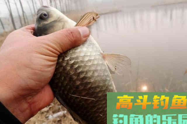 遇到走水就不想钓了？实话告诉你，一般人休想知道