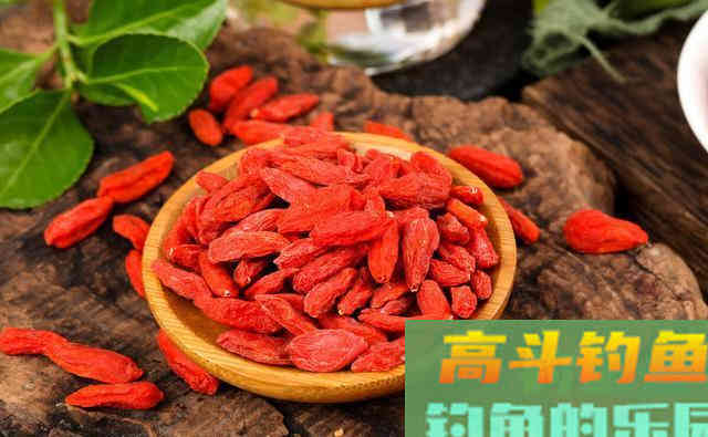 枸杞钓鲫鱼，针对这几点鱼情有妙用
