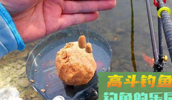 饵料附钩性太差，入水之后很快就会脱落怎么办