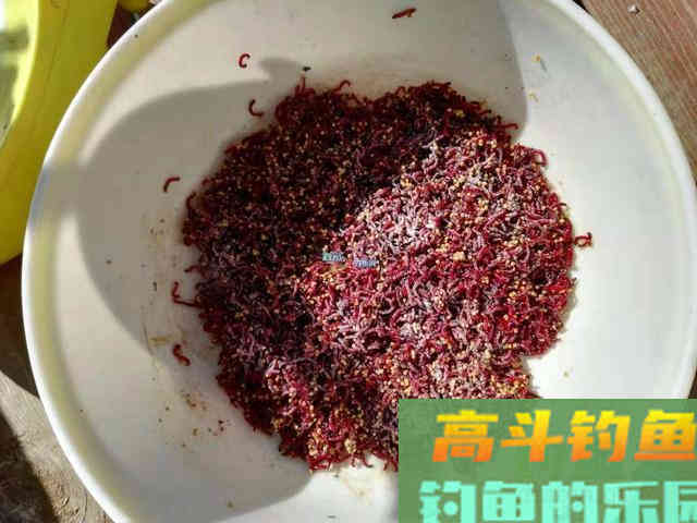 天气转凉，就用这几款虫拉饵