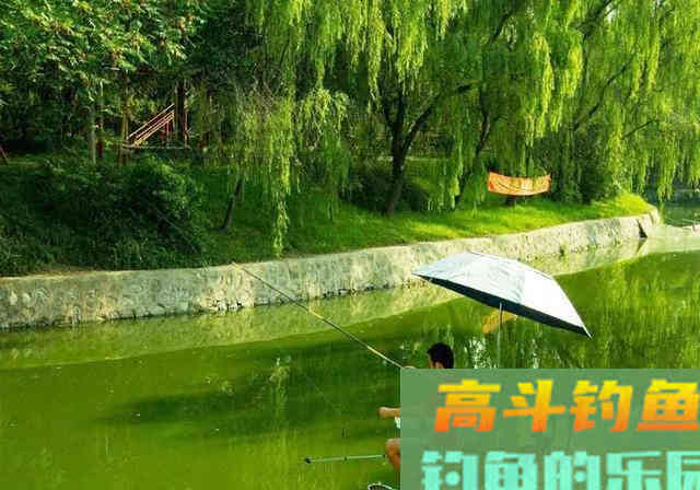 钓鱼千万不要跟新手抬杠，因为根本抬不住