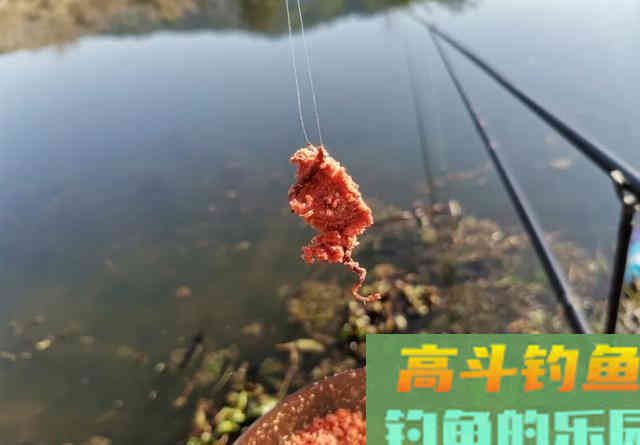 中午就停口该怎么办？频繁补窝是下策，教你一招打开鱼口