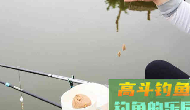 饵料的状态你掌握了吗？学会了每次钓鱼事半功倍