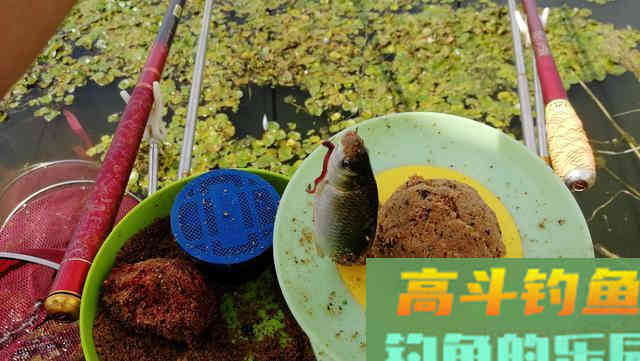 拉饵总是反水出丝过多，教你两个小妙招，轻松搞定
