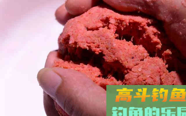 饵料状态对于钓鱼的影响