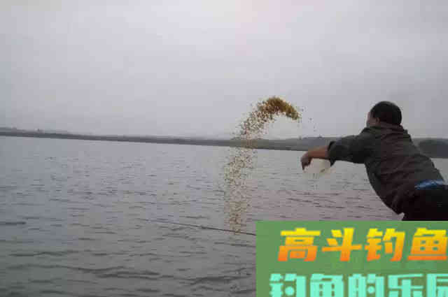 鱼口越来越慢，试试这几招