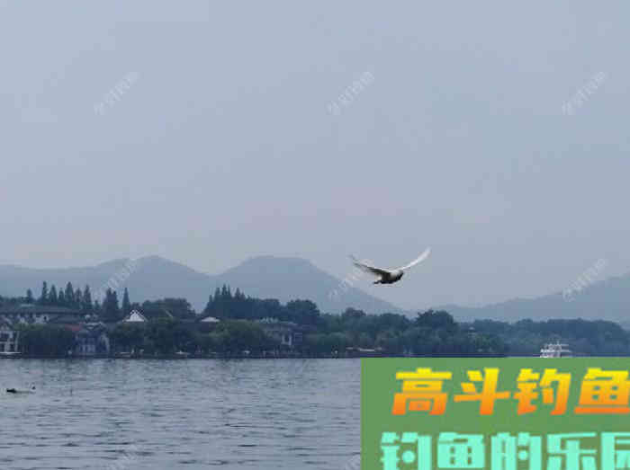 购买和使用商品饵时一定要注意的安全问题