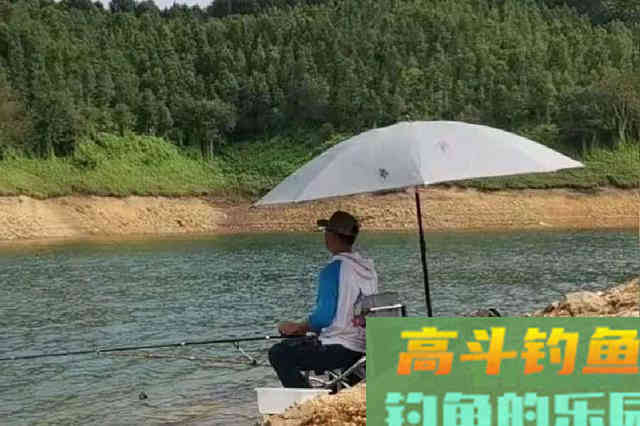 难道这才是连竿打鱼的核心秘诀？涨见识了