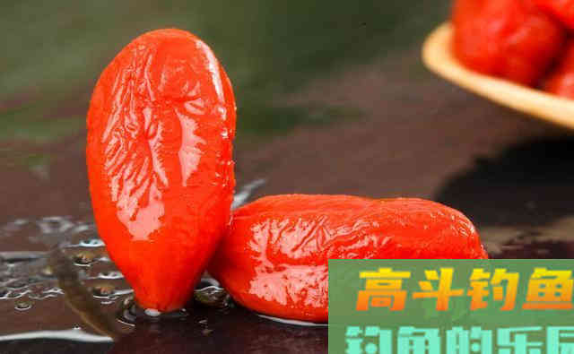 枸杞钓鲫鱼，针对这几点鱼情有妙用
