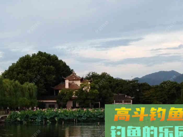 要想配好饵得先了解商品饵的分类和特性