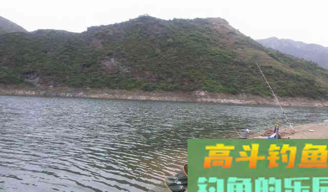 浮漂下顿一目就不动了，提竿却没鱼