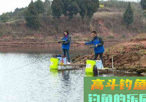 化氏黑坑盛宴饵料使用方法感受，钓友实测