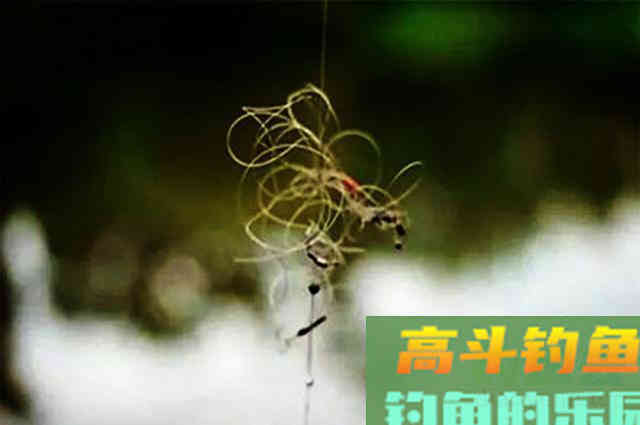 老钓友分享实用钓鱼4大招，掌握以后轻松应对，子线缠绕问题