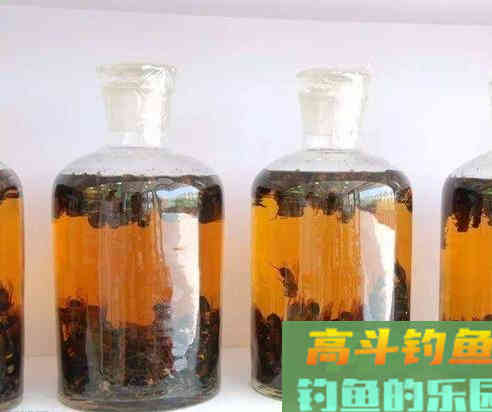 这些丁香药酒的配方分享