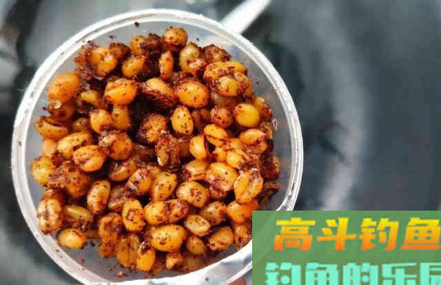 久钓无口，换别人的饵料就上鱼！是什么原因