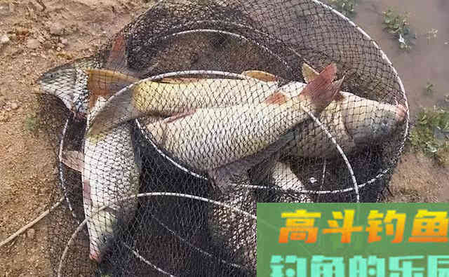 双钩的距离放多少才合适，还是要看这三个原则
