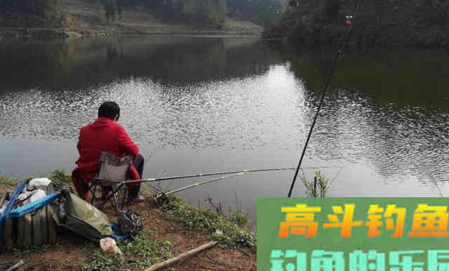 鱼突然停口了，别瞎想，就是不想吃了