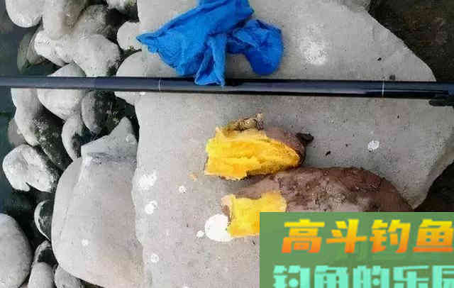 野生鲤鱼的最爱，不是玉米粒，也不是麦粒，而是这三种饵料