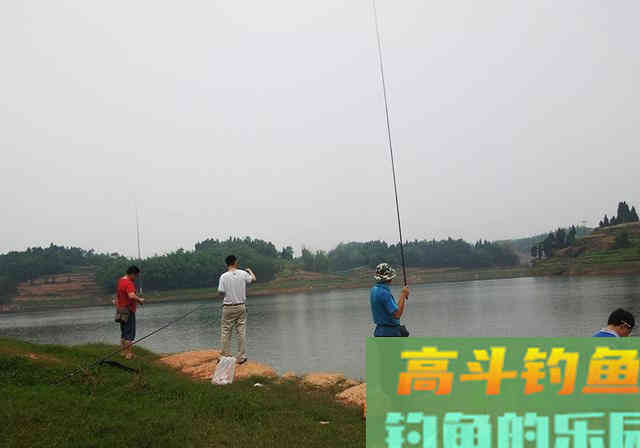 没有标准的渔具行业，是高品质活得久，还是走偏门活得久