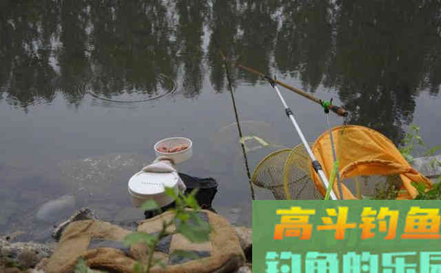 饵料导致跑鱼的原因分析
