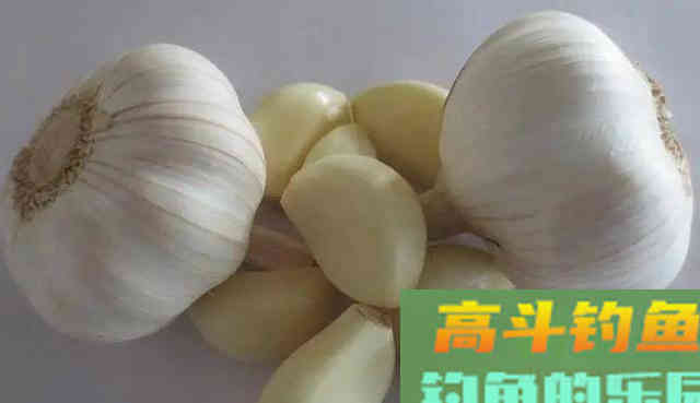 被过度神化的4种钓鱼饵料，我已经替你们试过