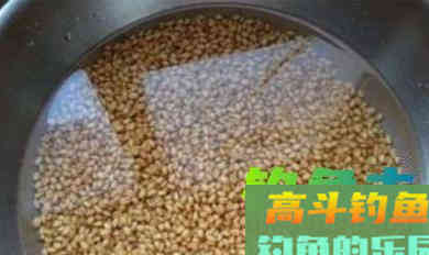 除了煮、泡、发酵，还有这种方法，制作的麦粒
