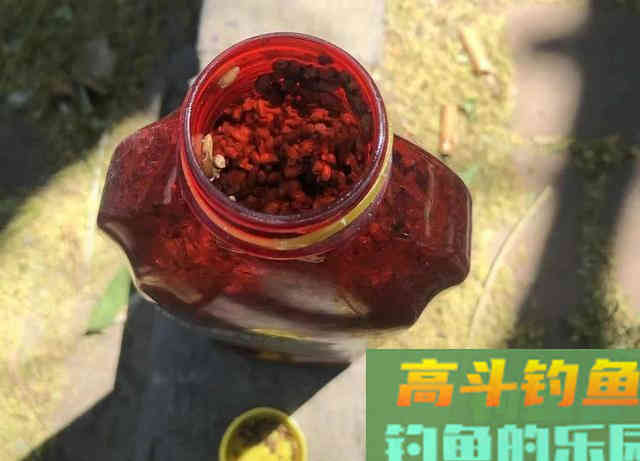 实战告诉你什么样的酒米最诱鱼