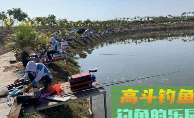 总是钓不到鱼？我给您支个招