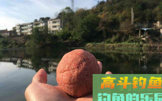 螺鲤加上918,夏季钓鲤鱼就这样开饵 螺鲤加上918,夏季钓鲤鱼就这样开饵