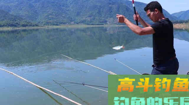 为什么浮漂有信号，提竿却没有鱼