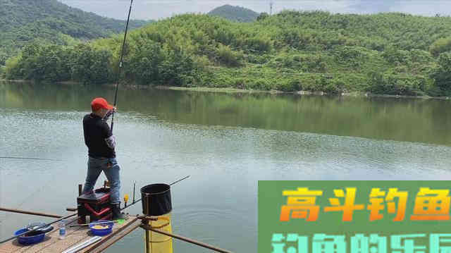 打窝真不是往水里盲目地扔诱饵