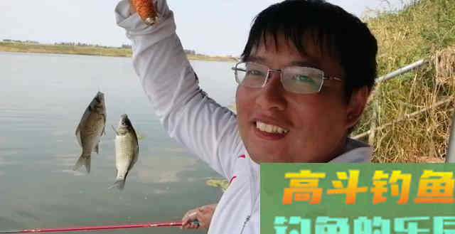 别抱怨饵料不好用，钓技钓法扎实的基本功才是你鱼获的关键