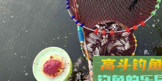 拉饵总是反水出丝过多，教你两个小妙招，轻松搞定