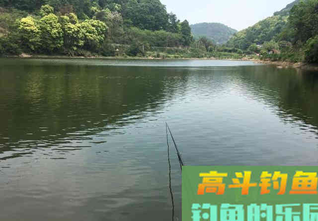 窝中来了大鱼，这几个坏习惯要改改
