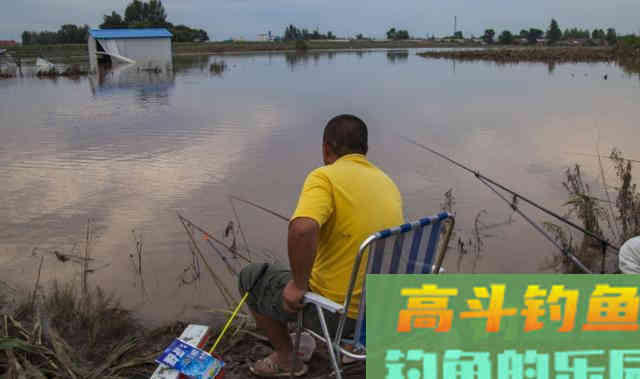 都说玉米适合钓大鱼，你怎么就不行？是因为这6点没做好