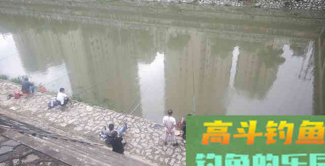 新手学大师钓鱼，越学越是钓不好