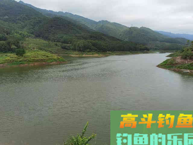 冬季钓鱼！蚯蚓胜过红虫？到底哪个好