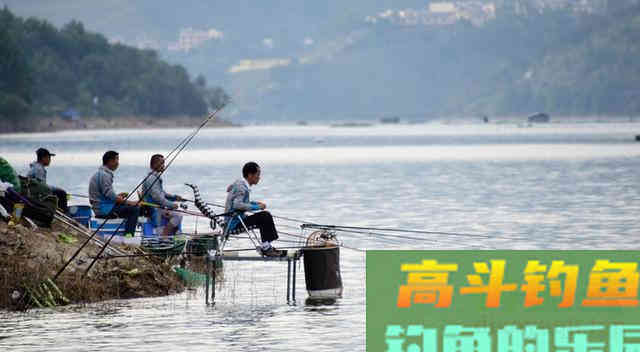 野钓还不会用饵？看看这几条老钓鱼人总结的经验