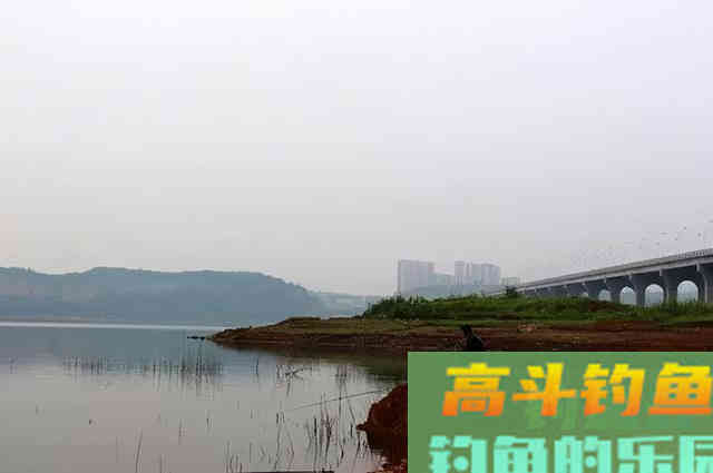 走不出这几个冬钓误区，多好的饵料都没有用