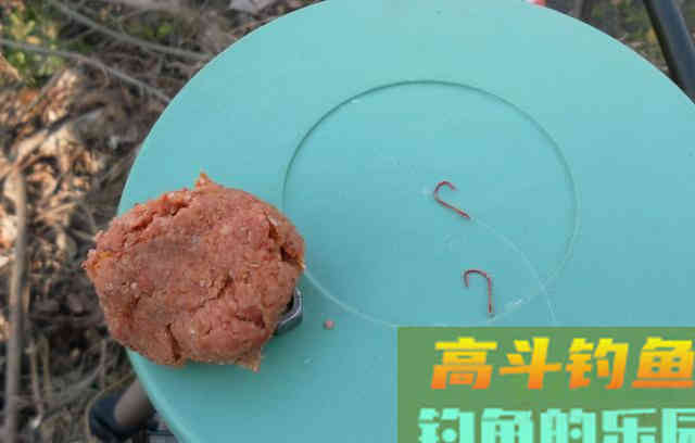 饵料状态对于钓鱼的影响