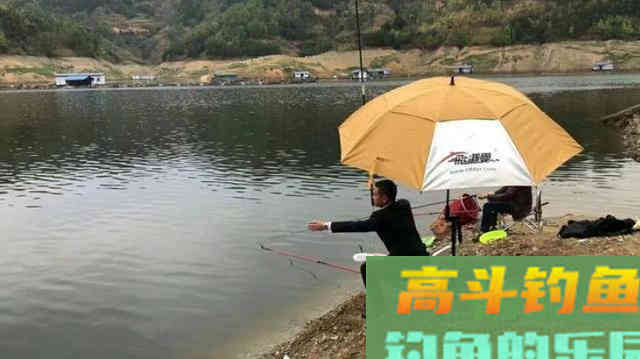 浮漂下顿一目就不动了，提竿却没鱼