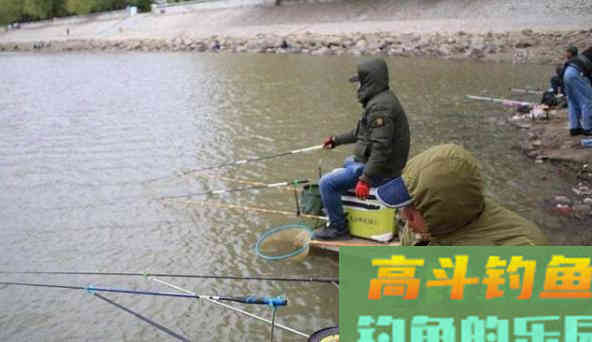 天冷用腥饵，腥饵也分三六九等，选对了鱼才咬钩